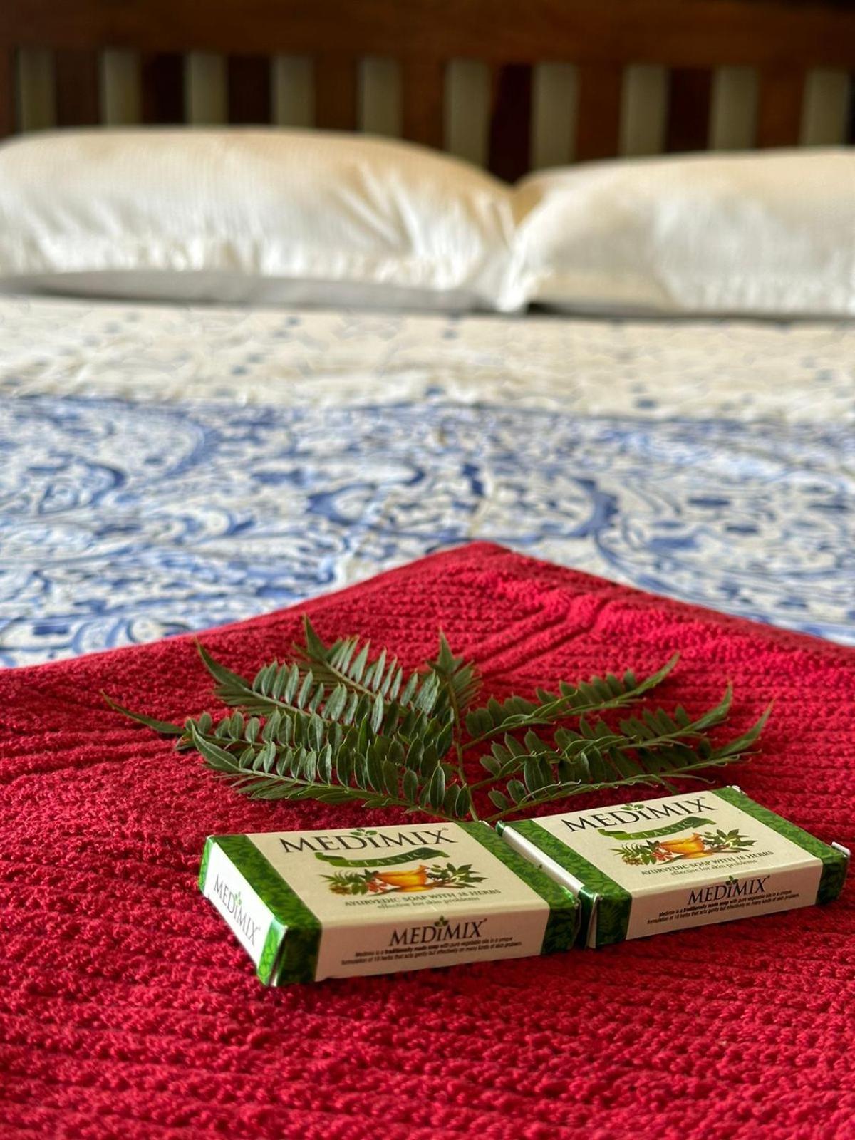 Moksha Infinity Valley Kotagiri Ngoại thất bức ảnh